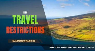 Understanding the Hilo Travel Restrictions: What You Need to Know