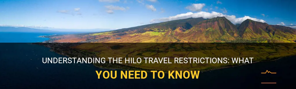 hilo travel restrictions
