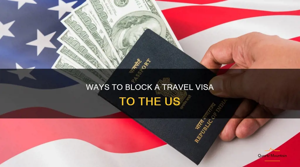 how can i block travel visa to us