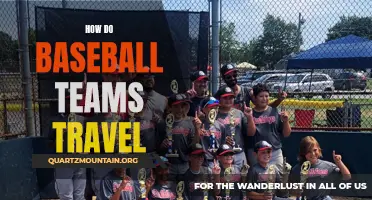 The Logistics of Baseball Team Travel: A Closer Look at How Teams Hit the Road