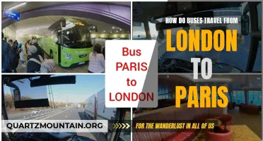 The Journey from London to Paris: How Buses Make the Trek