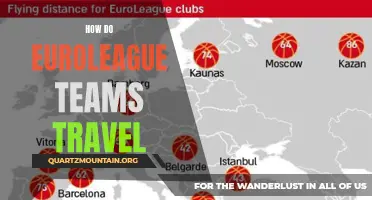 The Essential Guide to Euroleague Team Travel: Exploring the Logistics and Challenges