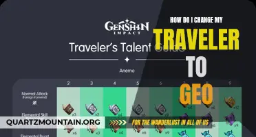 Changing Your Traveler to Geo: A Step-by-Step Guide