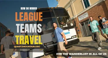 The Ins and Outs of How Minor League Teams Travel