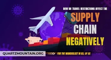 The Negative Impact of Travel Restrictions on Supply Chains: Exploring the Ripple Effects