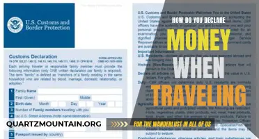 Understanding the Process of Declaring Money When Traveling: A Comprehensive Guide