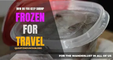 Tips for Keeping Shrimp Frozen During Travel