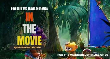 The Journey Unveiled: Exploring Vivo's Adventurous Trip to Florida in the Movie