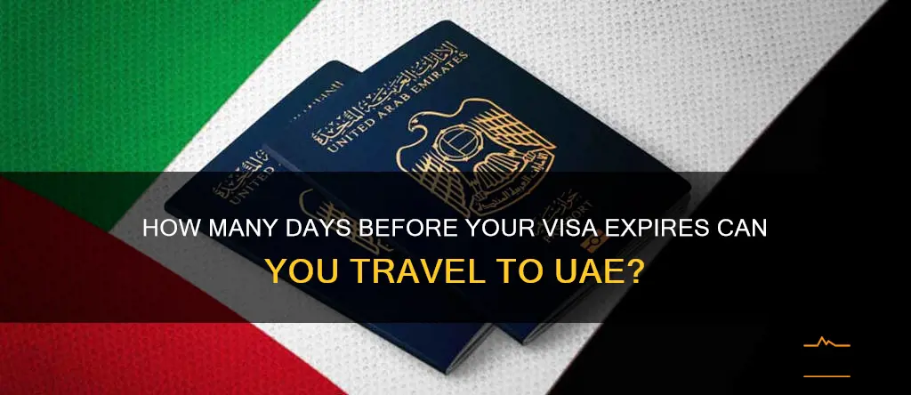 how many days before visa expires can i travel uae