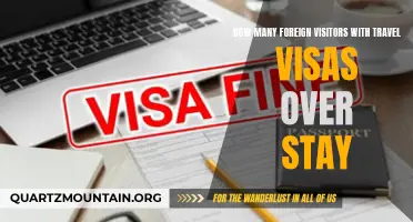 The Surprising Statistics: The Percentage of Foreign Visitors Overstaying Their Travel Visas