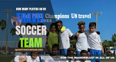 The Ideal Number of Players on an U8 Travel Soccer Team