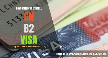 Maximizing Your Travel Opportunities on a B2 Visa: How Often Can You Visit the US?