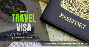 The Journey of the Age-Old Travel Visa: A Cultural Odyssey through Time