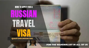 A Step-By-Step Guide on Applying for a Russian Travel Visa