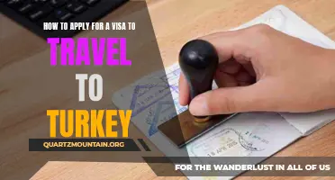 A Step-by-Step Guide on Applying for a Visa to Travel to Turkey