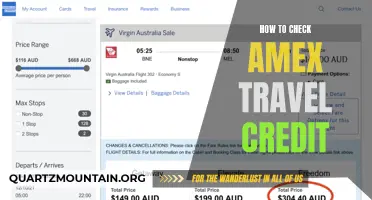 The Ultimate Guide to Checking Your Amex Travel Credit