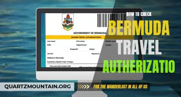 A Step-by-Step Guide on How to Check Bermuda Travel Authorization