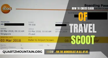 How to Check the Class of Travel on a Scoot Aircraft