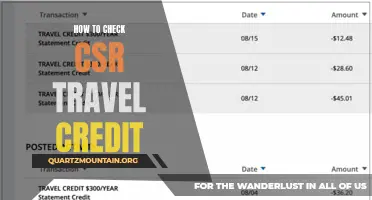 A Comprehensive Guide on Checking Your CSR Travel Credit