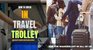 A Step-by-Step Guide to Checking In with Travel Trolley