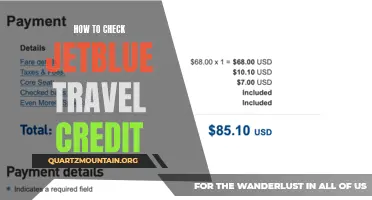 A Comprehensive Guide on How to Check JetBlue Travel Credit