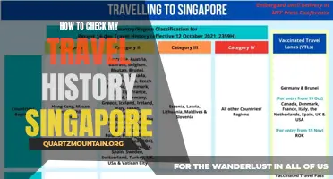 Essential Steps to Access and Review Your Singaporean Travel History