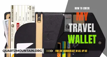 A Comprehensive Guide on How to Check Your Travel Wallet