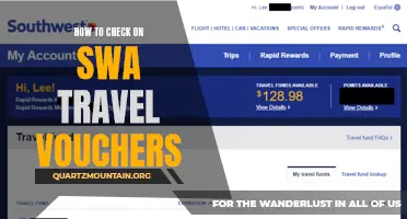 A Complete Guide on How to Check the Validity of SWA Travel Vouchers