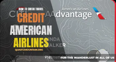 Tips for Checking Travel Credit with American Airlines