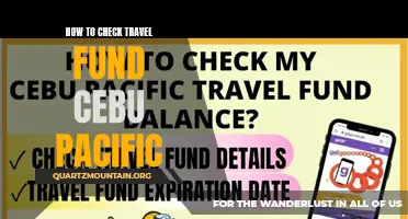 The Ultimate Guide to Checking Your Travel Fund with Cebu Pacific