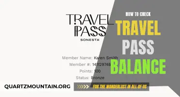 Travel Pass Balance: A Simple Guide to Checking Your Balance