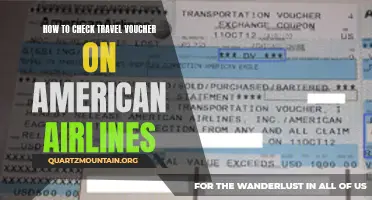 A Guide to Checking Your American Airlines Travel Voucher