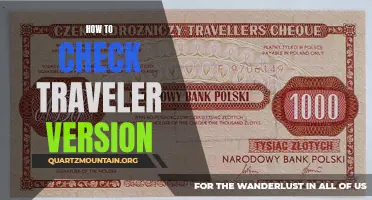 The Ultimate Guide on How to Check Your Traveler Version