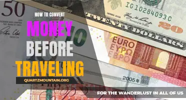 Mastering the Art of Currency Conversion: A Guide for Travelers