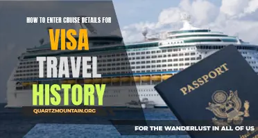 How to Enter Cruise Details for Visa Travel History