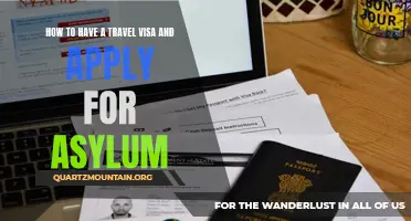 The Complete Guide to Obtaining a Travel Visa and Applying for Asylum