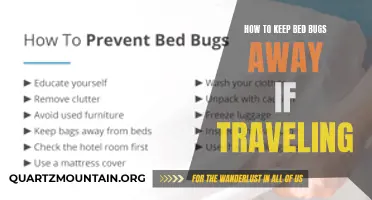Effective Tips for Keeping Bed Bugs Away When Traveling