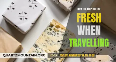 Tips for Keeping Cheese Fresh When Traveling