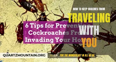 Effective Ways to Prevent Roaches from Traveling with You