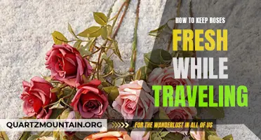 Tips for Keeping Roses Fresh While Traveling