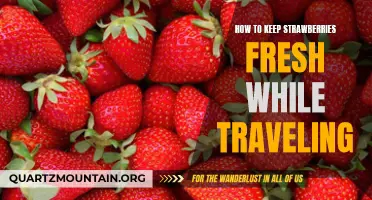 Preserve the Freshness of Your Strawberries While Traveling with These Tips