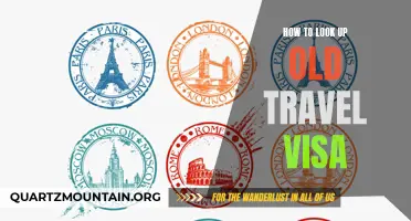 How to Find and Retrieve Past Travel Visas for Reference