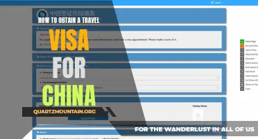 A Step-by-Step Guide to Obtaining a Travel Visa for China