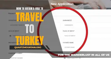 The Complete Guide to Obtaining a Visa to Travel to Turkey