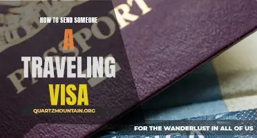 A Step-by-Step Guide on Sending Someone a Traveling Visa