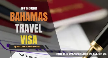 A Complete Guide on How to Submit a Bahamas Travel Visa Application Correctly
