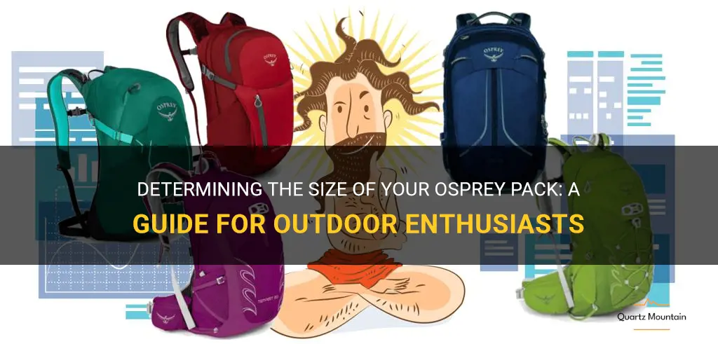 how to tell what size my osprey pack is