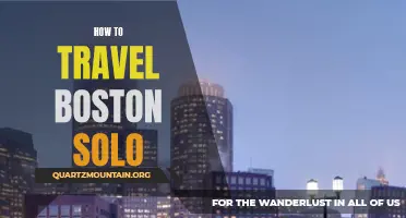 Exploring the Best of Boston Solo: Your Ultimate Guide
