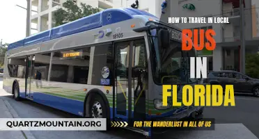 Navigating Florida's Local Bus System: A Guide for Travelers
