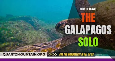 The Ultimate Guide to Traveling Solo in the Galapagos Islands